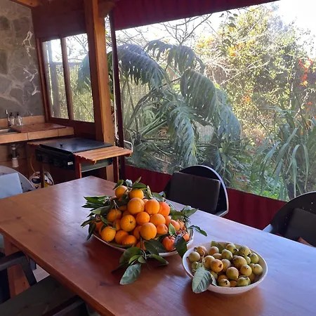Oasis Privado